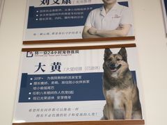 -特一安24小时宠物医院·骨科·中兽医