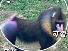 -杭州野生动物世界
