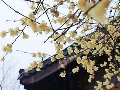 -钱王祠