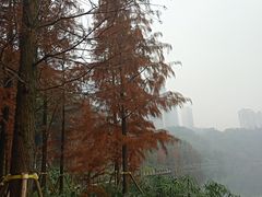 -重庆彩云湖湿地公园