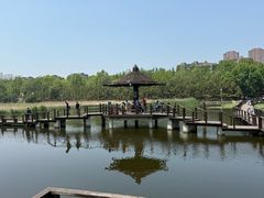 -前关湿地公园