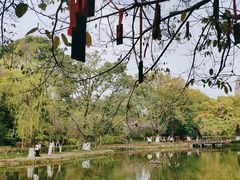 -望江楼公园