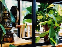 -ZING COFFEE 镜咖啡