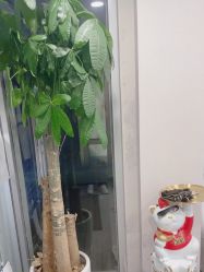 -如一·美甲美睫