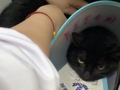 -申普宠物医院·眼科·心内科·影像科(普陀分院)