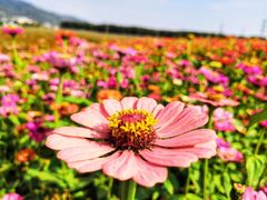 -宁波富邦荪湖山庄(慈城古县城店)