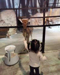 -酷嗒动物文化乐园(cutezoo西溪乐天城店)