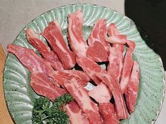 -杨小佳·齐齐哈尔烤肉·烤串(广州店)