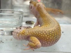 -万达广场(南京江宁店)