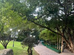 -乌山风景区