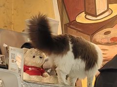 -咖法森林·咖啡  酒吧(天河店)