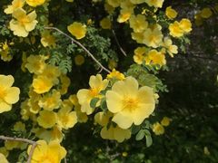 -回龙观体育文化公园