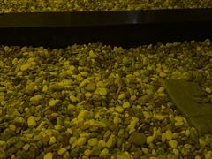 -蓝鲸湾汤泉(包河店)