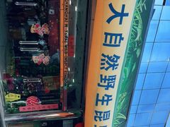 -上海大自然野生昆虫馆(东方明珠·爬宠昆虫探索中心)