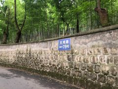 -上海佘山国家森林公园天马山园