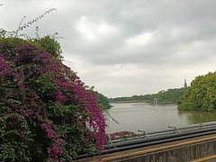 -海珠湖公园