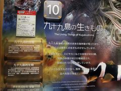 -西海国立公园九十九岛水族馆