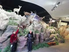 -陕西自然博物馆