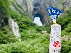 -张家界天门山国家森林公园