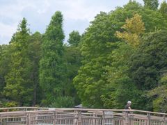 -井之头恩赐公园