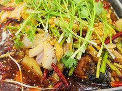 -古彭7只羊·招牌白串·碳锅羊肉旗舰店