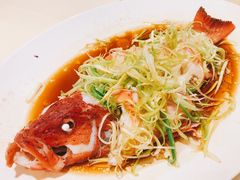 清蒸东星斑-镛记酒家