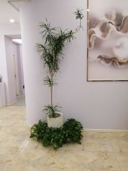 -紫琪尔胸部养护中心