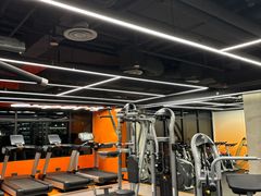 -健身专家Wellness Experts