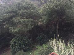 -宁波市保国寺古建筑博物馆