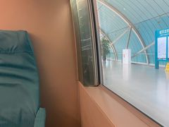 -龙阳路磁悬浮列车总站-停车场