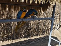 -西霞口神雕山野生动物世界