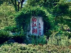 -广州白江湖森林公园