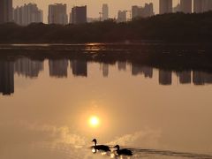 -南宁南湖公园