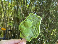 -成都大熊猫繁育研究基地