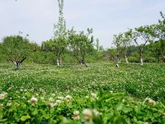 -白鹭湾湿地公园