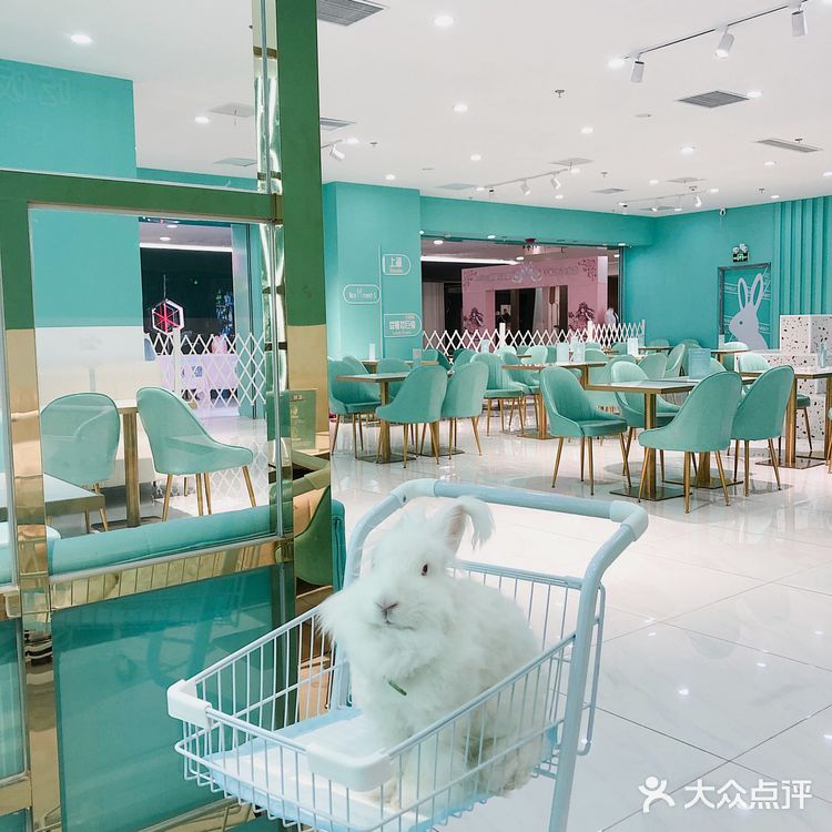 软萌软萌的小兔几,我控制不住我只几啦~