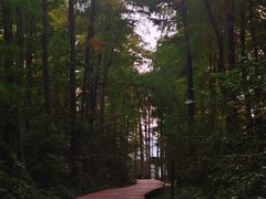 -东湖落雁景区