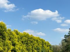 -白鹭湾湿地公园