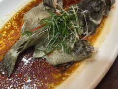 -沙田轩(古北店)