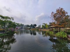 -成飞公园