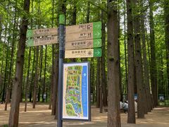 -日照海滨国家森林公园