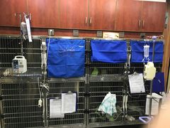 -安安宠医宠物医院·异宠·犬猫内科(岳阳分院)