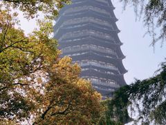 -红梅公园