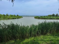 -野鸭湖国家湿地公园