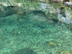 -石台牯牛降景区