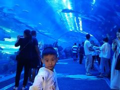 -成都浩海立方海洋公园