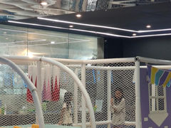 -小蓝鲸游泳培训基地(石景山店)