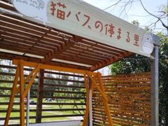 -前小桔亲子创意农场·草莓采摘·露营烧烤