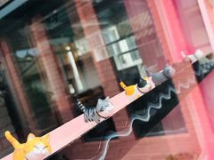 门面-喵屿·大理花园猫咖