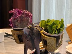 -慢丽江·云南野生菌土鸡锅(付家庄店)